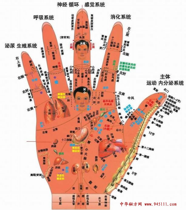 右手掌全息图