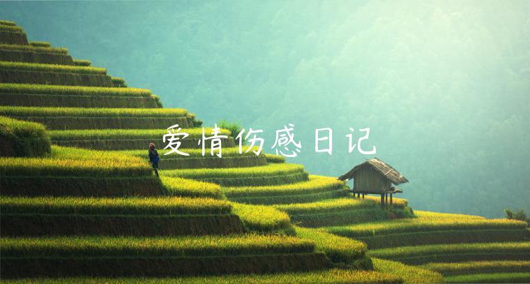 爱情伤感日记